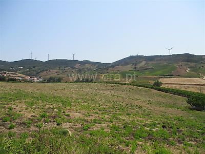 listing-picture-0