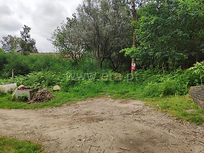 listing-picture-0