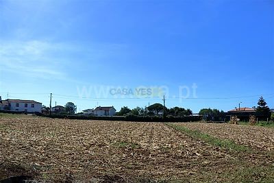listing-picture-0