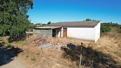 listing-picture-0