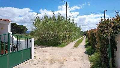 listing-picture-0