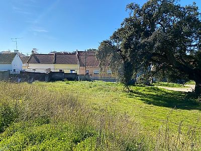 listing-picture-0