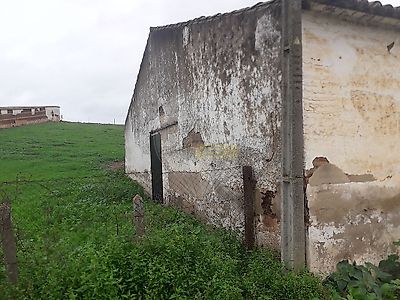 listing-picture-0