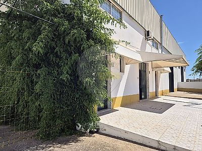 listing-picture-0