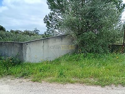 listing-picture-0