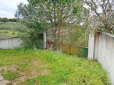 listing-picture-0