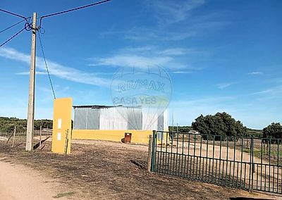 listing-picture-0