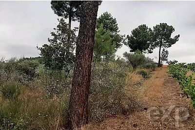 listing-picture-0
