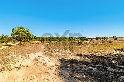 listing-picture-0