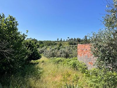 listing-picture-0