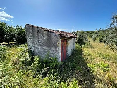 listing-picture-0
