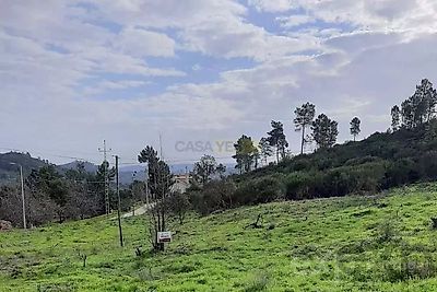 listing-picture-0