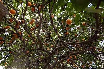listing-picture-0