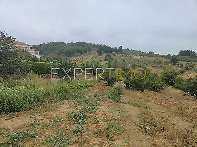 listing-picture-0