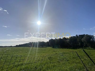 listing-picture-0