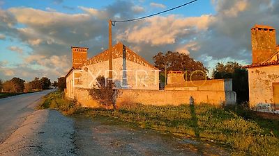 listing-picture-0