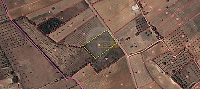 listing-picture-0