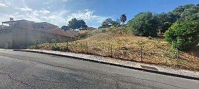 listing-picture-0