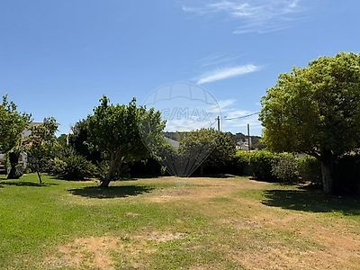 listing-picture-0