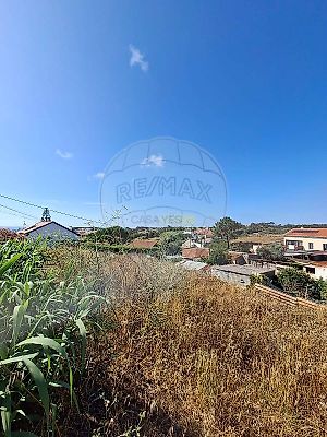 listing-picture-0