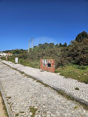 listing-picture-0