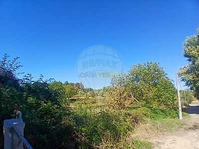 listing-picture-0
