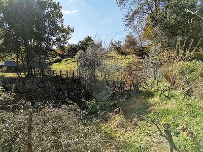 listing-picture-0