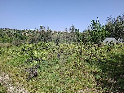 listing-picture-0