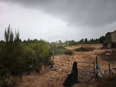 listing-picture-0