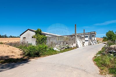 listing-picture-0