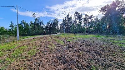 listing-picture-0