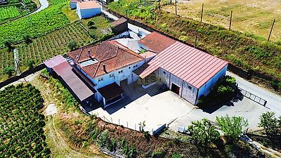 listing-picture-0