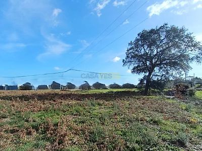listing-picture-0
