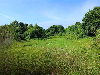 listing-picture-0