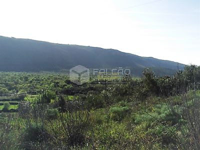 listing-picture-0