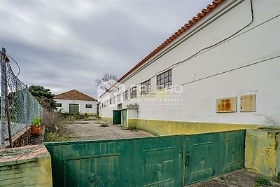 listing-picture-0
