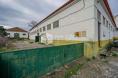 listing-picture-0