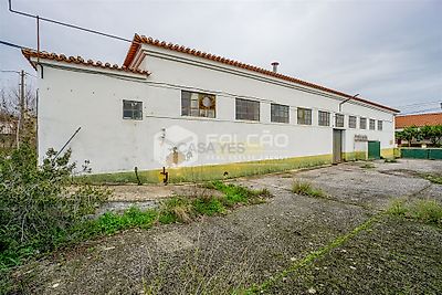 listing-picture-0