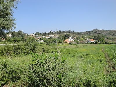 listing-picture-0