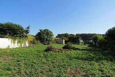 listing-picture-0