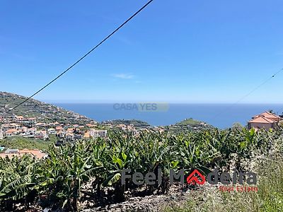 listing-picture-0