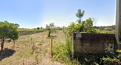 listing-picture-0