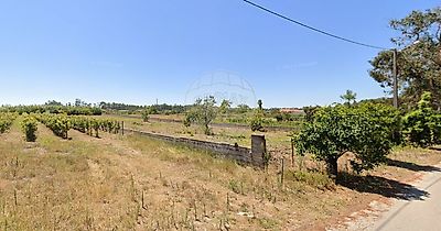 listing-picture-0