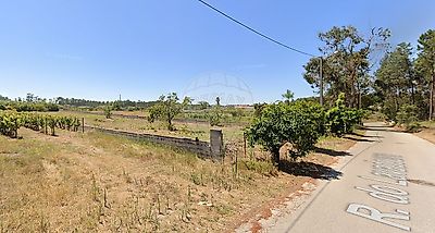 listing-picture-0