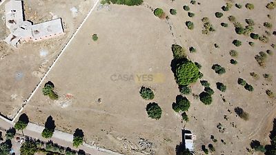 listing-picture-0