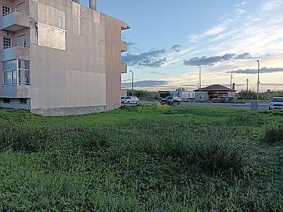 listing-picture-0