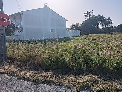 listing-picture-0
