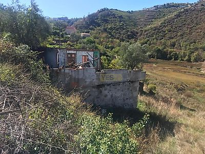 listing-picture-0