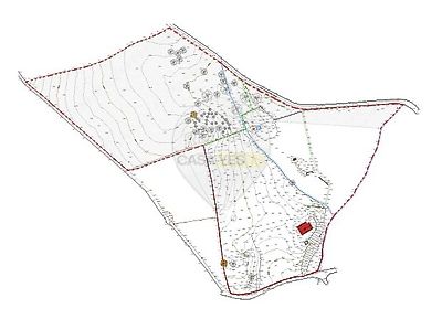 listing-picture-0