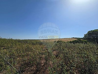 listing-picture-0